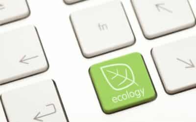 Qu’est-ce qu’un site écologique et pourquoi est-il important ?