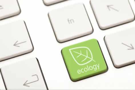 Qu’est-ce qu’un site écologique et pourquoi est-il important ?
