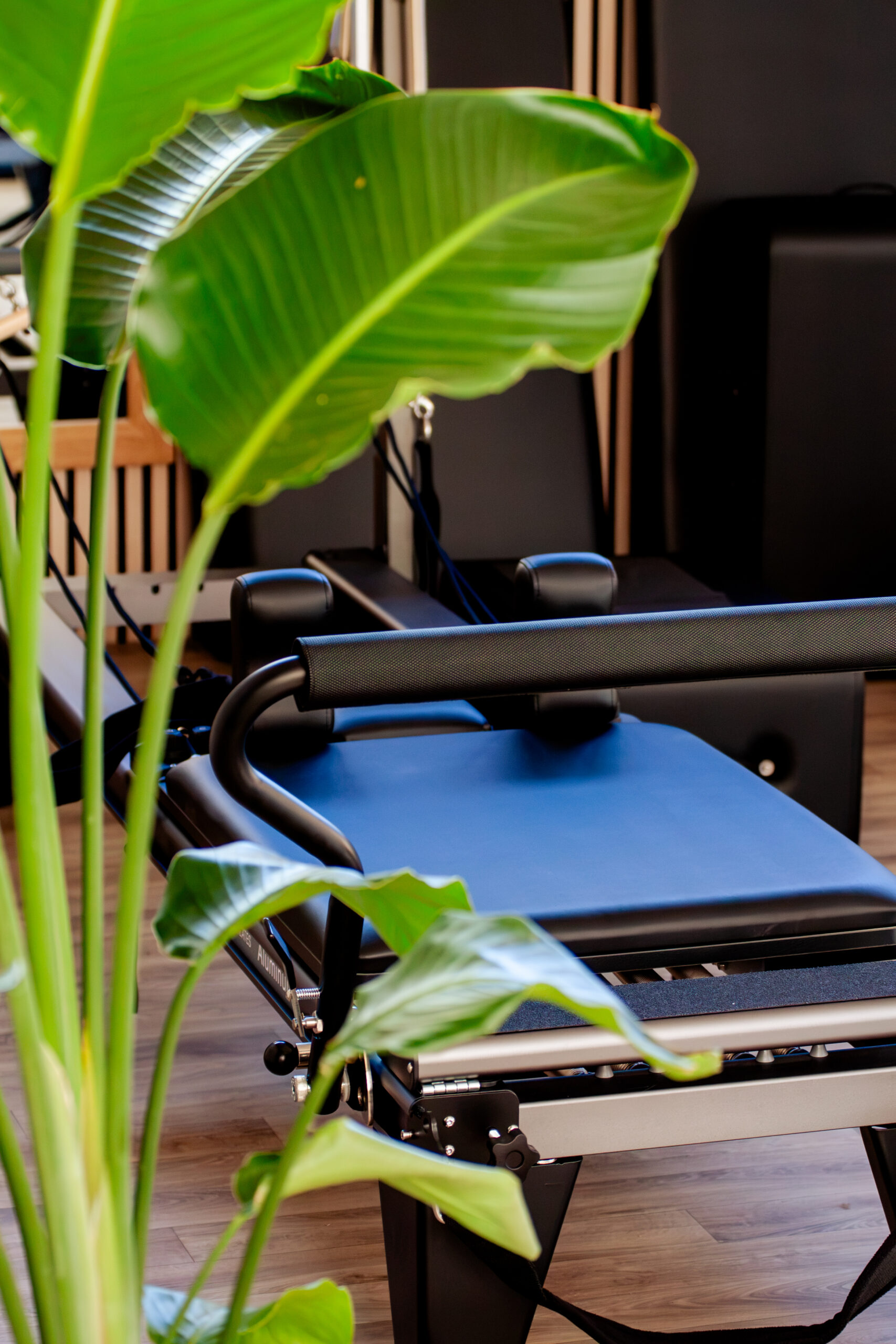 pilates reformer club house pilates reformer au club house de mours l'isle-adam